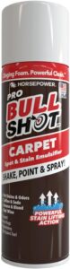 can of bullshot carpet cleaner on a white background